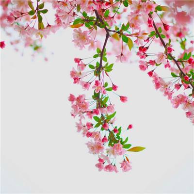 斗牛游戏大厅app下载